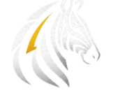 Zebra Electrical Security Services